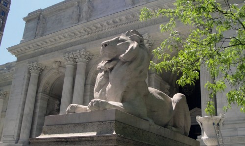 New_York_Public_Library_Lion_May_2011